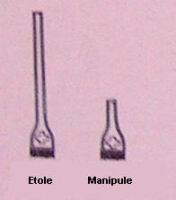 Etole et Manipule
